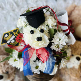 Graduation Fifi