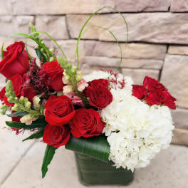 Red roses and white hydrangeas in a square vase