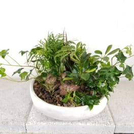 Zane bowl planter