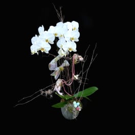 White orchid arrangement in a gray pot with decorative branches