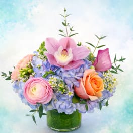 Bloom2377
