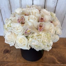 White roses and orchids arranged in a black box
