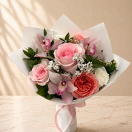 Bloom0115