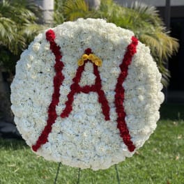 Angeles baseball