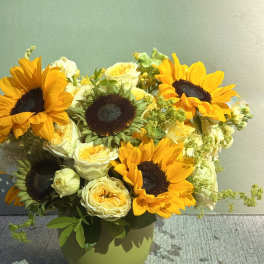 Sunflowers season