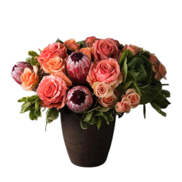 Peach and coral roses with protea in a dark vase