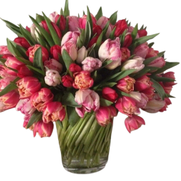 Peony and parrot Tulips
