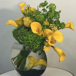 Golden Citrus Bloom