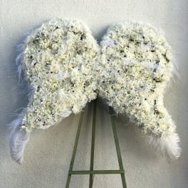 Angel Wings