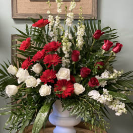 Tender Tribute