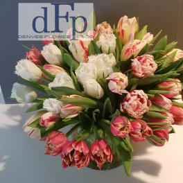 Novelty Tulips with Willows