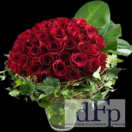 2 dozen Red Rose Bowl Arrangement
