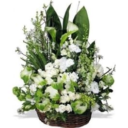 Large White and Green