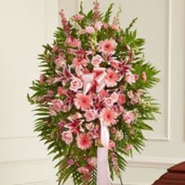 Rosado Spray