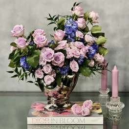 A Dream World