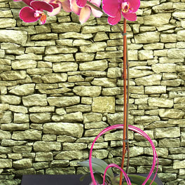 Pink orchid arrangement in a glass vase with decorative loops