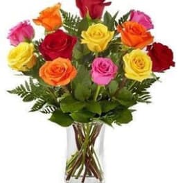colorful roses one Dozen Roses