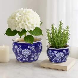 Large Blue and White Planter