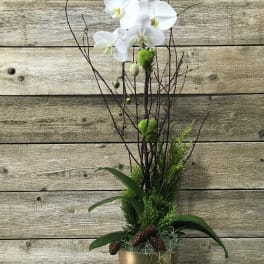 White orchid arrangement in a gold pot with branches and greenery