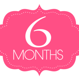 Pink badge with the text "6 MONTHS"