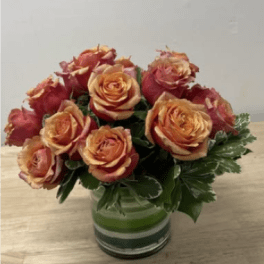 Full and Low Cherry Brandy Roses
