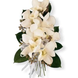 White orchid bouquet with dark green leaves and a white ribbon