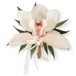 White orchid corsage with ribbon ties