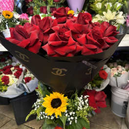Arrangement 101