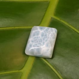Small white square stone with blue marbling on a green leaf