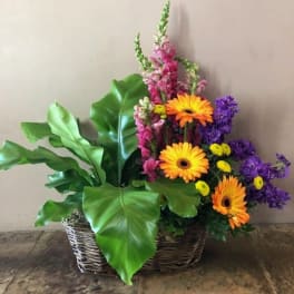 Basket arrangement with orange gerbera daisies and purple flowers