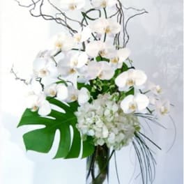 Orchids In The Sky