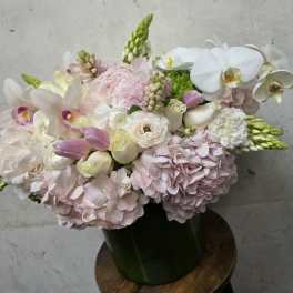 Happy mother's day