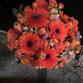 Fiery Romance