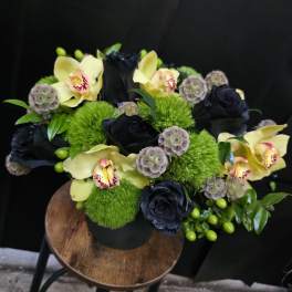 Black Velvet & Lime