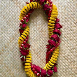 Red and Gold