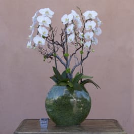 White orchid arrangement in a round green glass vase with a small candle holder beside it