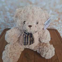 Plush Bears
