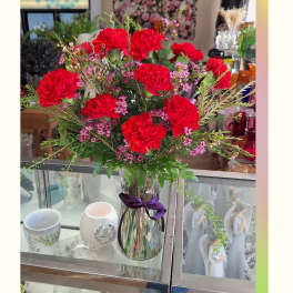 1 Dozen Carnations