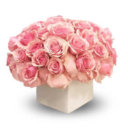 Bouquet of pink roses in a square box