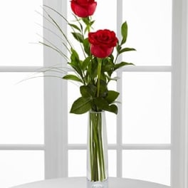 Two red roses in a tall clear glass vase