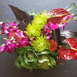 Exotic by Nature 2 Day Delivery