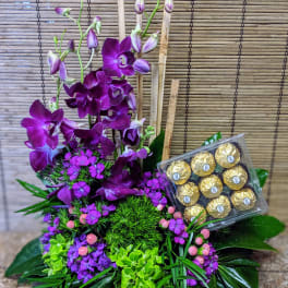Orchids, Tropicals, & Ferrero Roche Chocolates Original by Chatsworth Florist