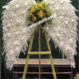ANGEL WINGS