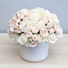 White and blush roses arranged in a white vase
