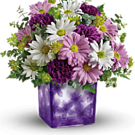 Dancing Violets