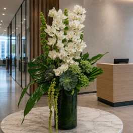 Tall white orchid arrangement in a dark glass vase with green tropical accents