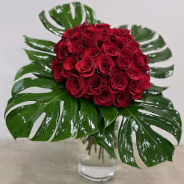 Compact dome of red roses framed by large glossy tropical leaves in a clear glass vase.