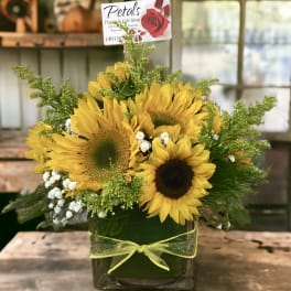 Sunflowers & Solidago Cube by Petals