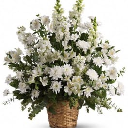 Large all white flower arrangement with snapdragons and mums in a woven basket