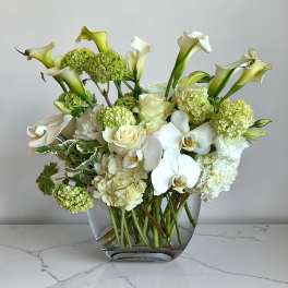 Orchids and Calla Lilies